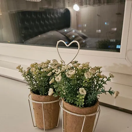 Charming, Cozy & Joyful Modern Oasis סראייבו